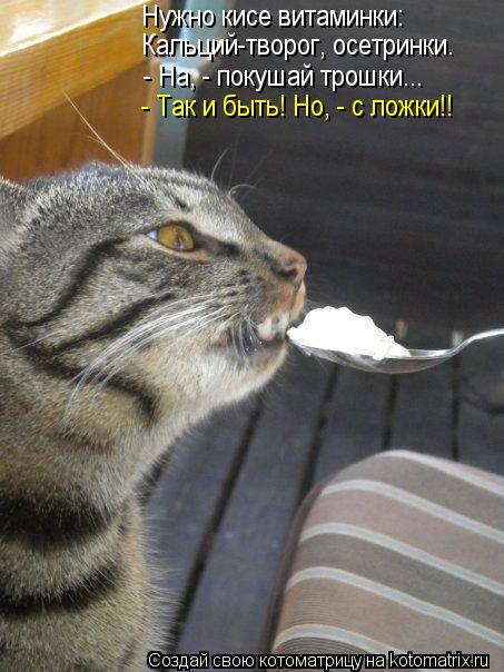 Котоматрица: Нужно кисе витаминки: Кальций-творог, осетринки. - На, - покушай трошки... - Так и быть! Но, - с ложки!!