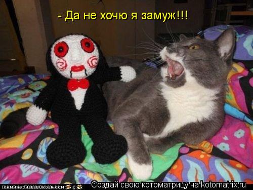 Котоматрица: - Да не хочю я замуж!!!