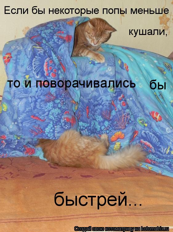 Если бы некоторые попы меньше кушали, то и поворачивались бы быстрей...... Котоматрица: Если бы некоторые попы меньше кушали, то и поворачивались бы быстрей...
