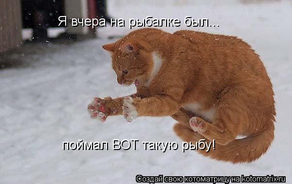 Я вчера на рыбалке был... поймал ВОТ такую рыбу!... Котоматрица: Я вчера на рыбалке был... поймал ВОТ такую рыбу!