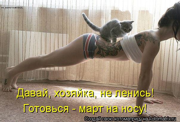 Давай, хозяйка, не ленись! Готовься - март на носу!... Котоматрица: Давай, хозяйка, не ленись! Готовься - март на носу!