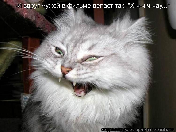 -И вдруг Чужой в фильме делает так: "Х-ч-ч-ч-чау..."... Котоматрица: -И вдруг Чужой в фильме делает так: "Х-ч-ч-ч-чау..."