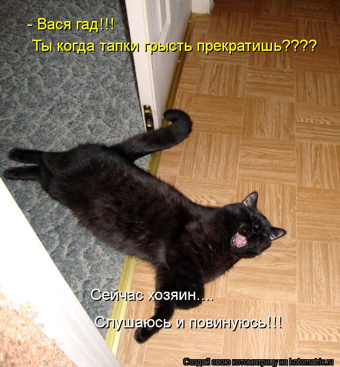 - Вася гад!!! Ты когда тапки грысть прекратишь???? Сейчас хозяин.... Слушаюсь и повинуюсь!!!... Котоматрица: - Вася гад!!! Ты когда тапки грысть прекратишь???? Сейчас хозяин.... Слушаюсь и повинуюсь!!!