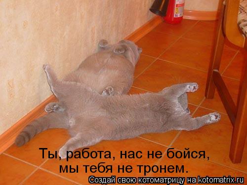 Ты, работа, нас не бойся, мы тебя не тронем.... Котоматрица: Ты, работа, нас не бойся, мы тебя не тронем.