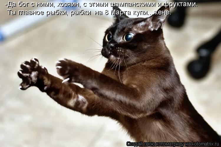 -Да бог с ними, хозяин, с этими шампанскими и фруктами. Ты главное рыбки, рыбки на 8 Марта купи...же... Котоматрица: -Да бог с ними, хозяин, с этими шампанскими и фруктами. Ты главное рыбки, рыбки на 8 Марта купи...жене.