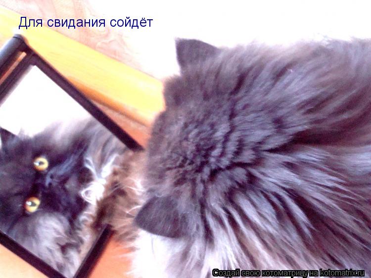 Для свидания сойдёт... Котоматрица: Для свидания сойдёт