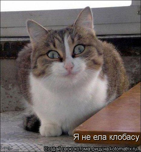 Я не ела клобасу... Котоматрица: Я не ела клобасу
