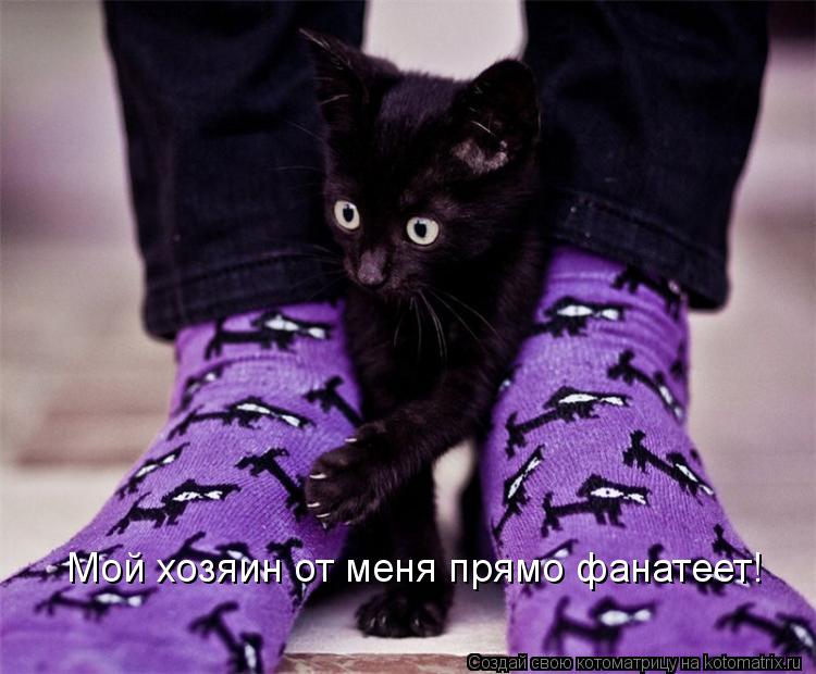 Мой хозяин от меня прямо фанатеет!... Котоматрица: Мой хозяин от меня прямо фанатеет!