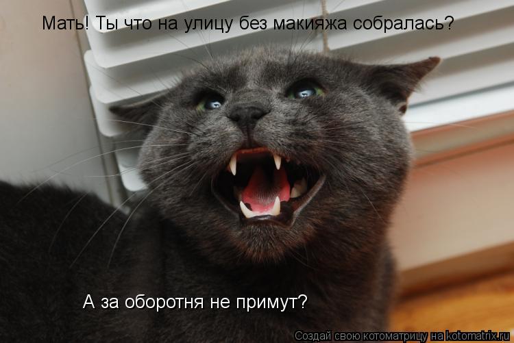 Мать! Ты что на улицу без макияжа собралась? А за оборотня не примут?... Котоматрица: Мать! Ты что на улицу без макияжа собралась? А за оборотня не примут?