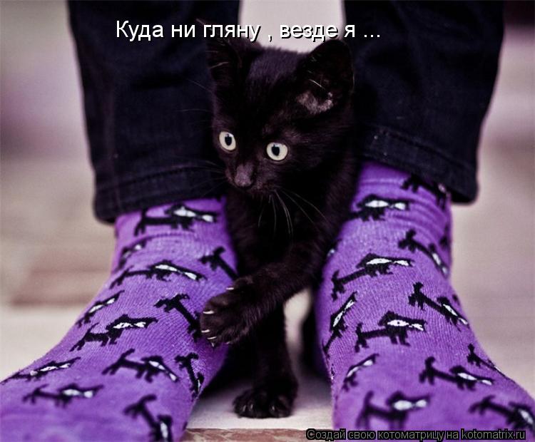 Куда ни гляну , везде я ...... Котоматрица: Куда ни гляну , везде я ...