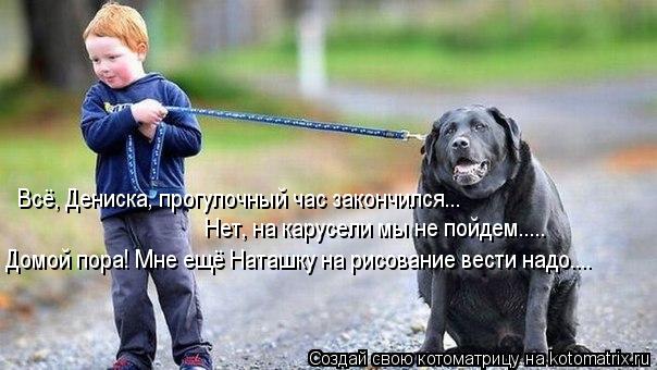 Всё, Дениска, прогулочный час закончился... Нет, на карусели мы не пойдем..... Домой пора! Мне ещё На... Котоматрица: Всё, Дениска, прогулочный час закончился... Нет, на карусели мы не пойдем..... Домой пора! Мне ещё Наташку на рисование вести надо....