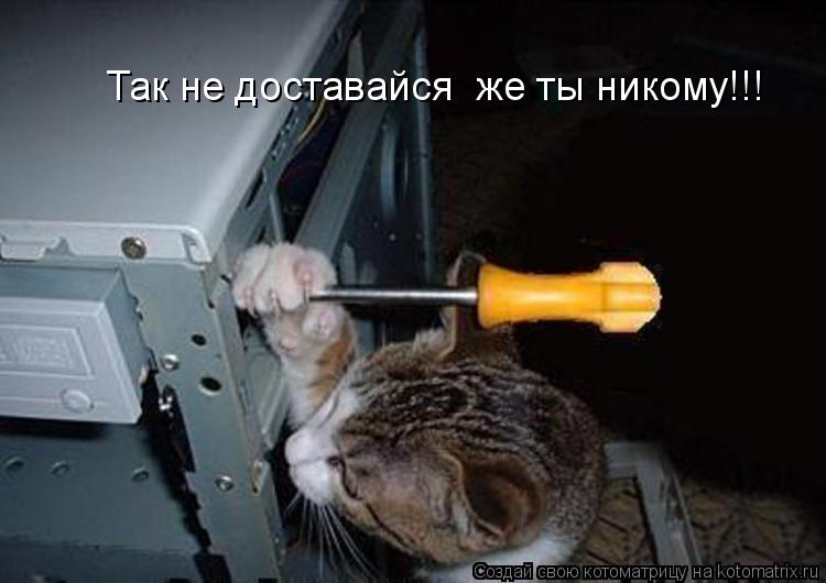 Так не доставайся же ты никому!!!... Котоматрица: Так не доставайся же ты никому!!!