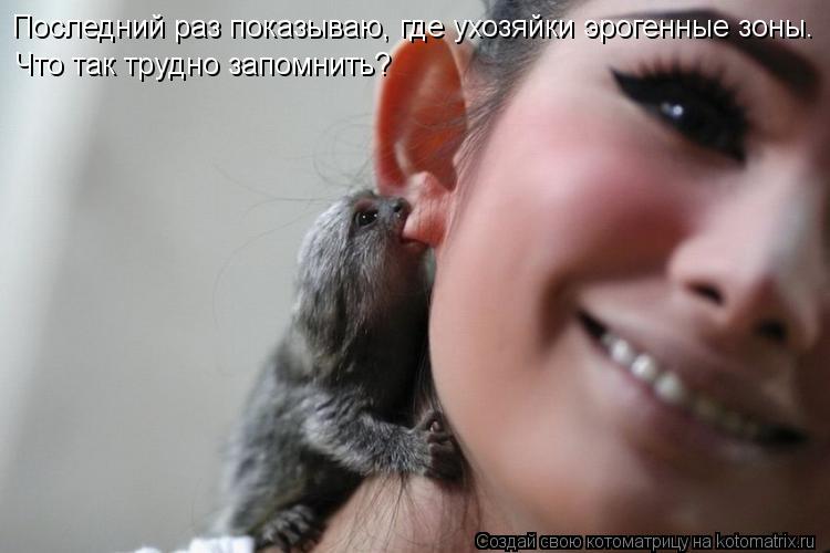 Последний раз показываю, где ухозяйки эрогенные зоны. Что так трудно запомнить?... Котоматрица: Последний раз показываю, где ухозяйки эрогенные зоны. Что так трудно запомнить?