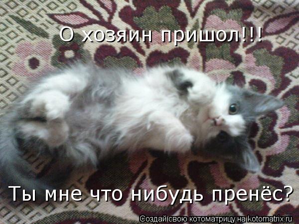 О хозяин пришол!!! Ты мне что нибудь пренёс?... Котоматрица: О хозяин пришол!!! Ты мне что нибудь пренёс?