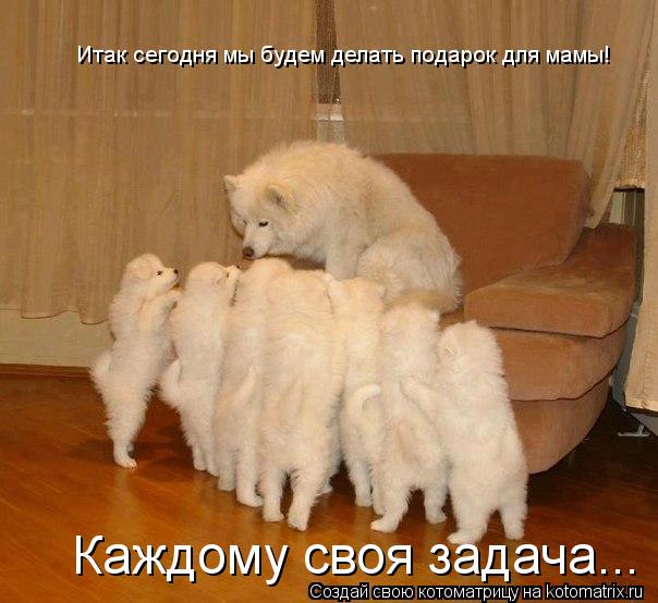 Итак сегодня мы будем делать подарок для мамы! Каждому своя задача...... Котоматрица: Итак сегодня мы будем делать подарок для мамы! Каждому своя задача...