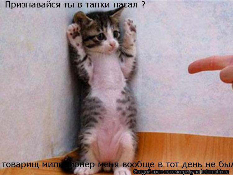Признавайся ты в тапки насал ? товарищ милиционер меня вообще в тот день не было... Котоматрица: Признавайся ты в тапки насал ? товарищ милиционер меня вообще в тот день не было
