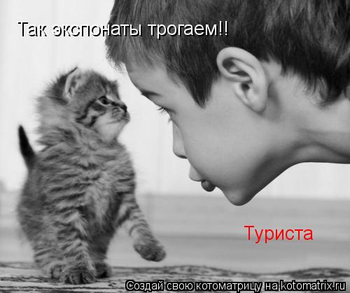 Так экспонаты трогаем!! Туриста... Котоматрица: Так экспонаты трогаем!! Туриста