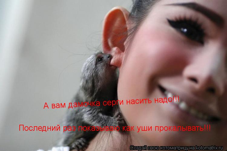 Последний раз показываю как уши прокалывать!!! А вам дамочка серги насить надо!!!... Котоматрица: Последний раз показываю как уши прокалывать!!! А вам дамочка серги насить надо!!!