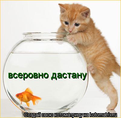 всеровно дастану... Котоматрица: всеровно дастану