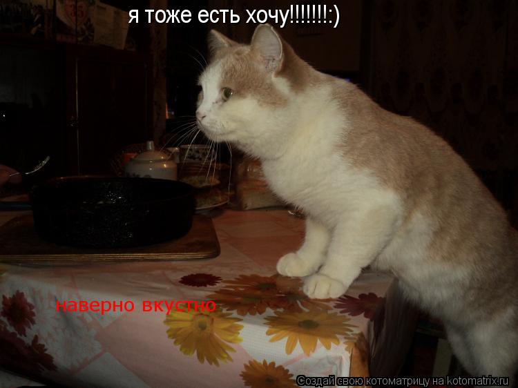 я тоже есть хочу!!!!!!!:) наверно вкустно... Котоматрица: я тоже есть хочу!!!!!!!:) наверно вкустно