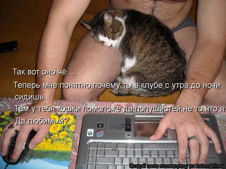 Так вот оно чё.... Теперь мне понятно,почему ты в клубе с утра до ночи сидишь... Там у тебя кошки пом... Котоматрица: Так вот оно чё.... Теперь мне понятно,почему ты в клубе с утра до ночи сидишь... Там у тебя кошки помоложе да попушистей,не то,что я... Да,любимый?