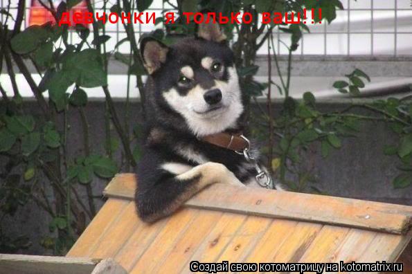 девчонки я только ваш!!!... Котоматрица: девчонки я только ваш!!!