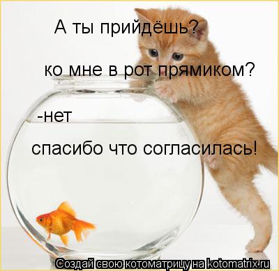 А ты прийдёшь? ко мне в рот прямиком? -нет спасибо что согласилась!... Котоматрица: А ты прийдёшь? ко мне в рот прямиком? -нет спасибо что согласилась!