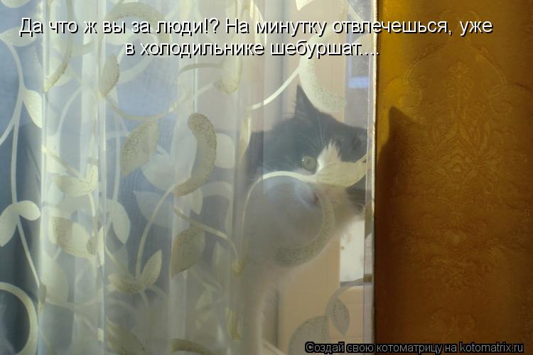 в холодильнике шебуршат.... Да что ж вы за люди!? На минутку отвлечешься, уже... Котоматрица: в холодильнике шебуршат.... Да что ж вы за люди!? На минутку отвлечешься, уже