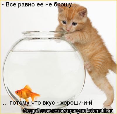 - Все равно ее не брошу... ... потому что вкус - хороши-и-й!... Котоматрица: - Все равно ее не брошу... ... потому что вкус - хороши-и-й!