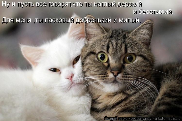 Ну и пусть все говорят,что ты наглый,дерзкий и бесстыжий. Для меня ,ты ласковый,добренький и милый.... Котоматрица: Ну и пусть все говорят,что ты наглый,дерзкий и бесстыжий. Для меня ,ты ласковый,добренький и милый.