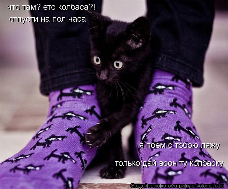 что там? ето колбаса?! отпусти на пол часа я поем с тобою ляжу только дай воон ту колбаску... Котоматрица: что там? ето колбаса?! отпусти на пол часа я поем с тобою ляжу только дай воон ту колбаску