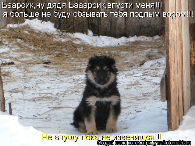 Баарсик,ну дядя Бааарсик,впусти меня !!! я больше не буду обзывать тебя подлым вором!!! Не впущу пок... Котоматрица: Баарсик,ну дядя Бааарсик,впусти меня !!! я больше не буду обзывать тебя подлым вором!!! Не впущу пока не извенищся!!!