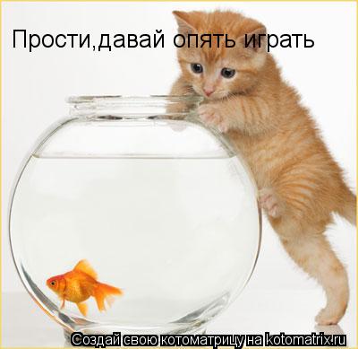 Прости,давай опять играть Прости,давай опять играть... Котоматрица: Прости,давай опять играть Прости,давай опять играть