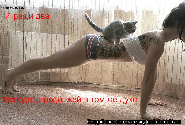 И раз,и два Молодец,продолжай в том же духе... Котоматрица: И раз,и два Молодец,продолжай в том же духе