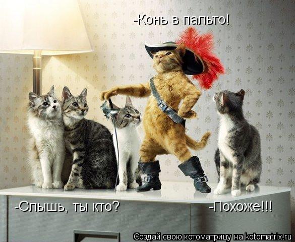 -Слышь, ты кто? -Конь в пальто! -Похоже!!!... Котоматрица: -Слышь, ты кто? -Конь в пальто! -Похоже!!!