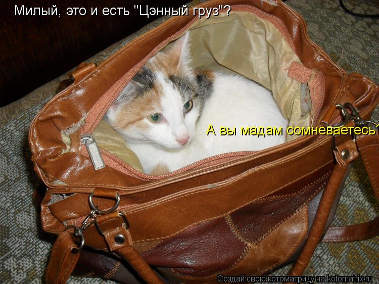 Милый, это и есть "Цэнный груз"? А вы мадам сомневаетесь?... Котоматрица: Милый, это и есть "Цэнный груз"? А вы мадам сомневаетесь?