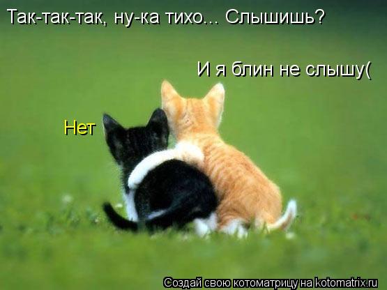 Так-так-так, ну-ка тихо... Слышишь? Нет И я блин не слышу(... Котоматрица: Так-так-так, ну-ка тихо... Слышишь? Нет И я блин не слышу(