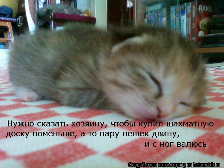 Нужно сказать хозяину, чтобы купил шахматную доску поменьше, а то пару пешек двину, и с ног валюсь... Котоматрица: Нужно сказать хозяину, чтобы купил шахматную доску поменьше, а то пару пешек двину, и с ног валюсь