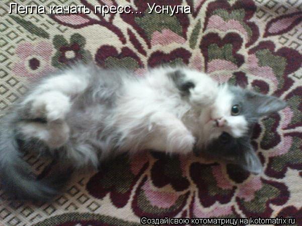Легла качать пресс... Уснула... Котоматрица: Легла качать пресс... Уснула