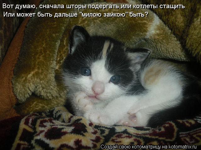 Вот думаю, сначала шторы подергать,или котлеты стащить Или может быть дальше "милою зайкою" быть?... Котоматрица: Вот думаю, сначала шторы подергать,или котлеты стащить Или может быть дальше "милою зайкою" быть?