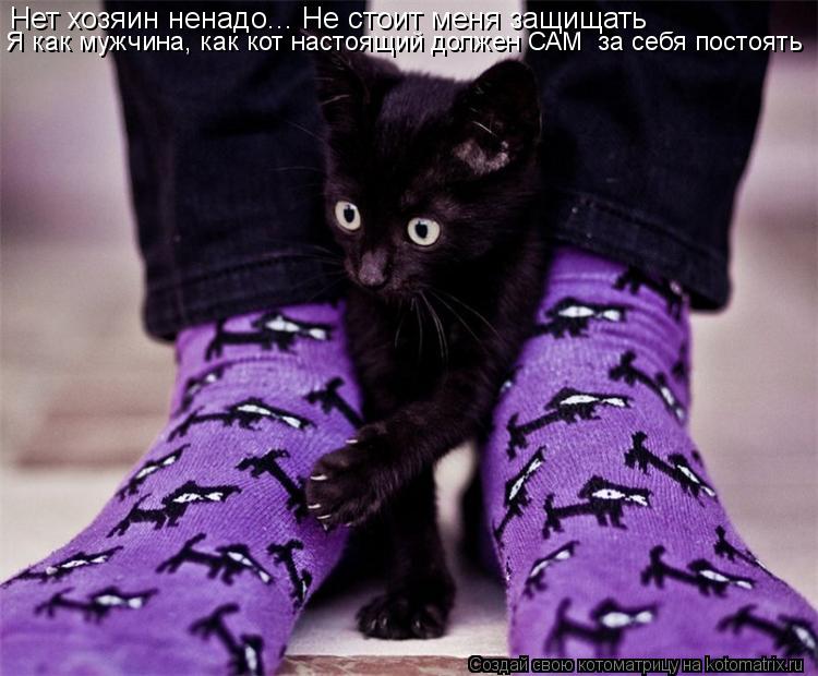 Нет хозяин ненадо... Не стоит меня защищать Я как мужчина, как кот настоящий должен САМ за себя пост... Котоматрица: Нет хозяин ненадо... Не стоит меня защищать Я как мужчина, как кот настоящий должен САМ за себя постоять