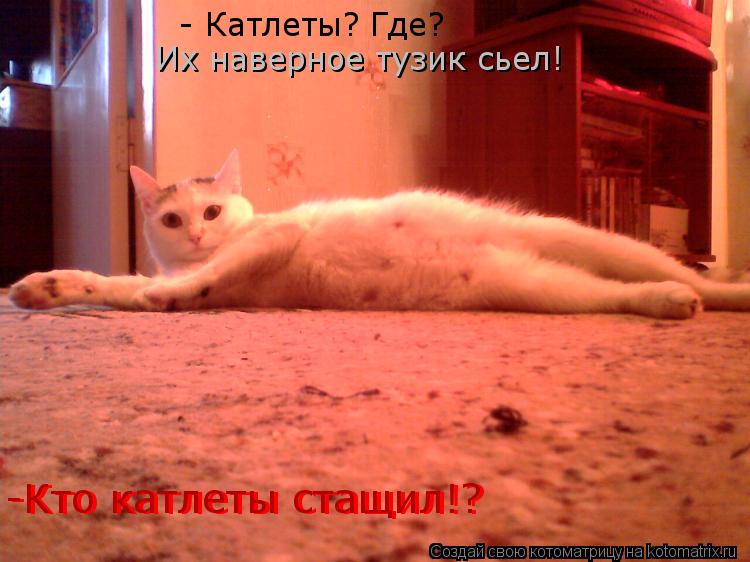 -Кто катлеты стащил!? -Кто катлеты стащил!? - Катлеты? Где? Их наверное тузик сьел! Их наверное тузик... Котоматрица: -Кто катлеты стащил!? -Кто катлеты стащил!? - Катлеты? Где? Их наверное тузик сьел! Их наверное тузик сьел!