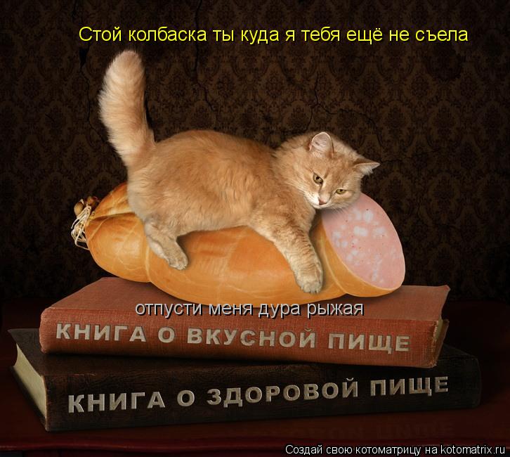 Стой колбаска ты куда я тебя ещё не съела отпусти меня дура рыжая... Котоматрица: Стой колбаска ты куда я тебя ещё не съела отпусти меня дура рыжая