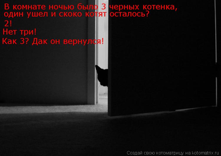 В комнате ночью было 3 черных котенка, один ушел и скоко котят осталось? 2! Нет три! Как 3? Дак он в... Котоматрица: В комнате ночью было 3 черных котенка, один ушел и скоко котят осталось? 2! Нет три! Как 3? Дак он вернулся!