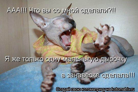 ААА!!! Что вы со мной сделали?!! Я же только одну маленькую дырочку в занавеске сделала!!!... Котоматрица: ААА!!! Что вы со мной сделали?!! Я же только одну маленькую дырочку в занавеске сделала!!!