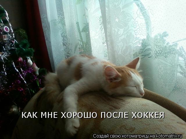КАК МНЕ ХОРОШО ПОСЛЕ ХОККЕЯ... Котоматрица: КАК МНЕ ХОРОШО ПОСЛЕ ХОККЕЯ