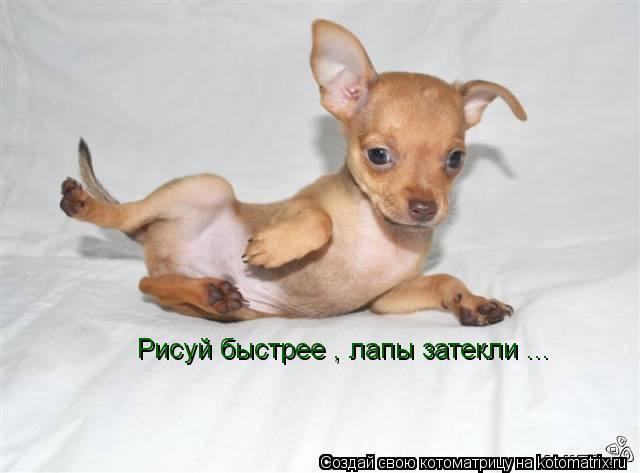 Рисуй быстрее , лапы затекли ...... Котоматрица: Рисуй быстрее , лапы затекли ...