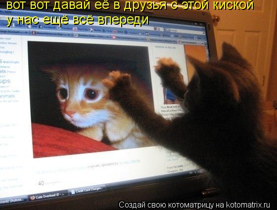 вот вот давай её в друзья с этой киской у нас ещё всё впереди... Котоматрица: вот вот давай её в друзья с этой киской у нас ещё всё впереди