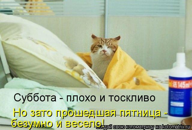 Суббота - плохо и тоскливо Но зато прошедшая пятница - безумно и весело!... Котоматрица: Суббота - плохо и тоскливо Но зато прошедшая пятница - безумно и весело!