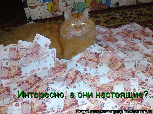 Интересно, а они настоящие?..... Котоматрица: Интересно, а они настоящие?..